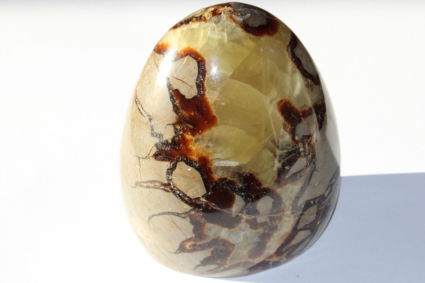 Septaria