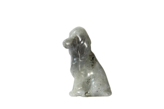 Chien en Labradorite