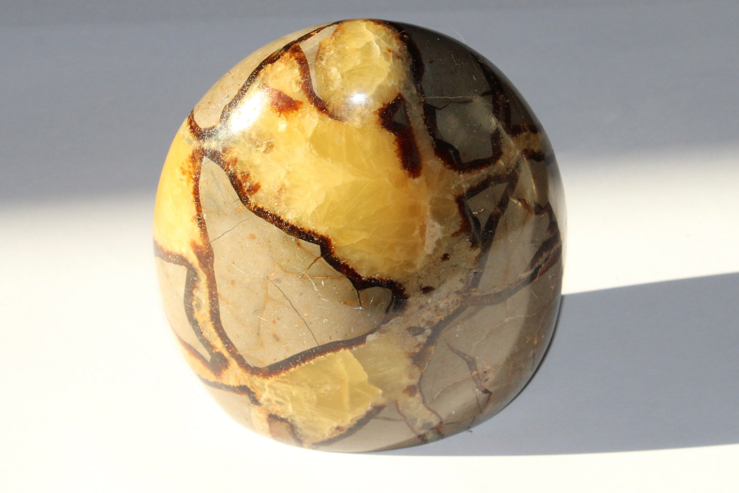 Septaria