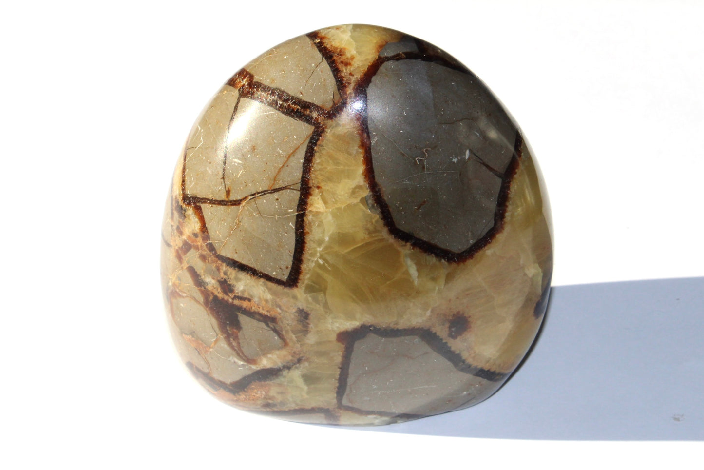 Septaria