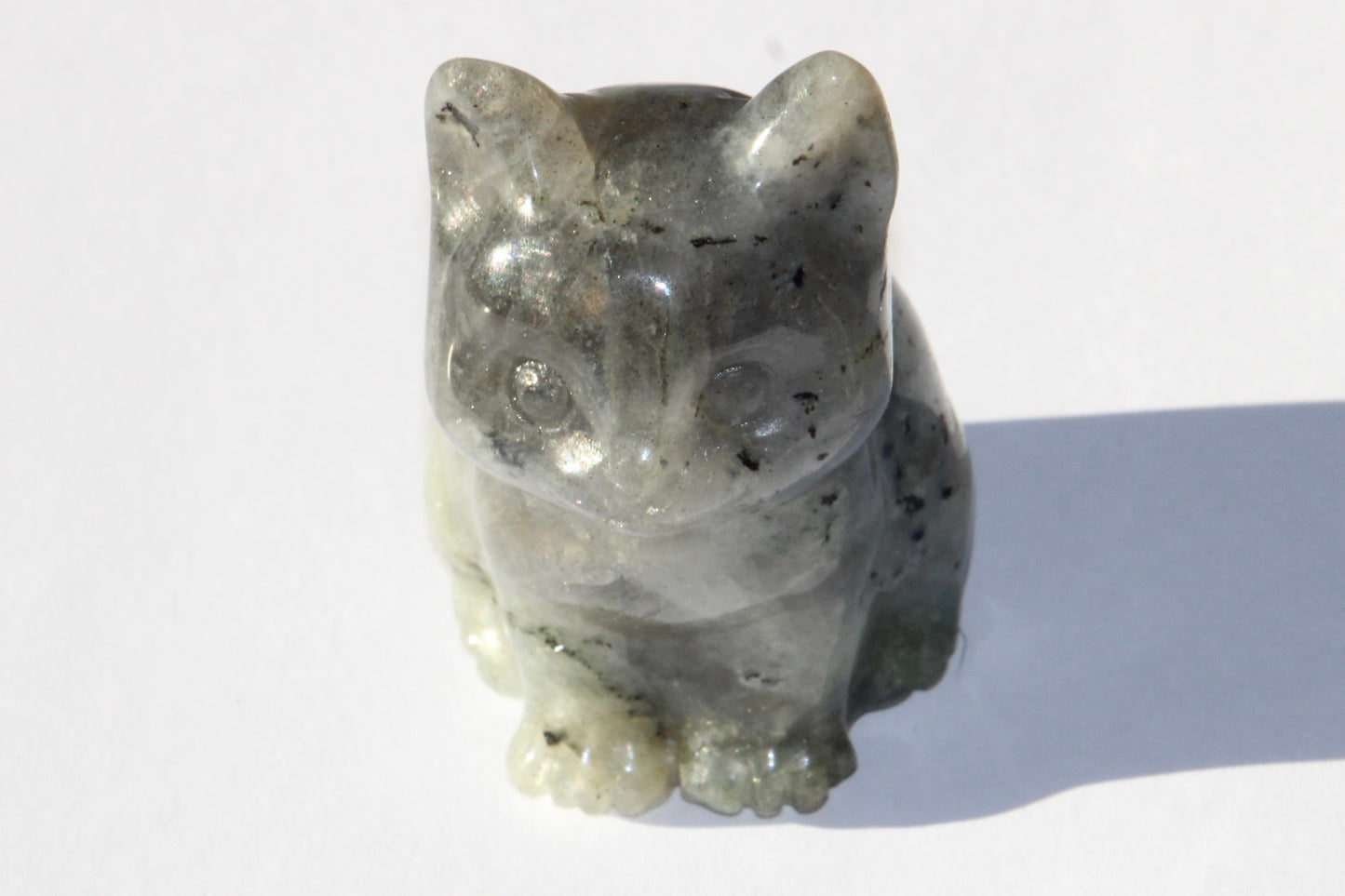 Chat en Labradorite