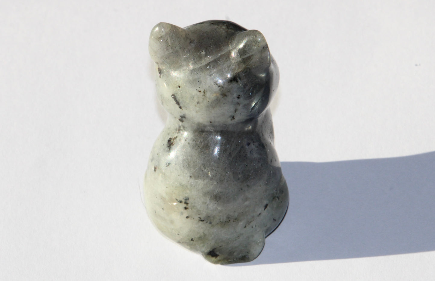 Chat en Labradorite