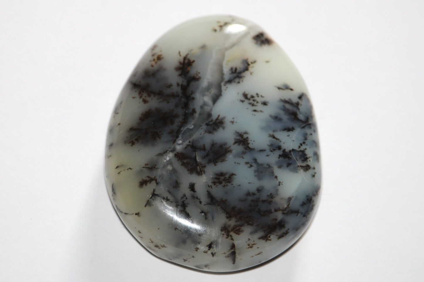 Galets Agate Dendritique