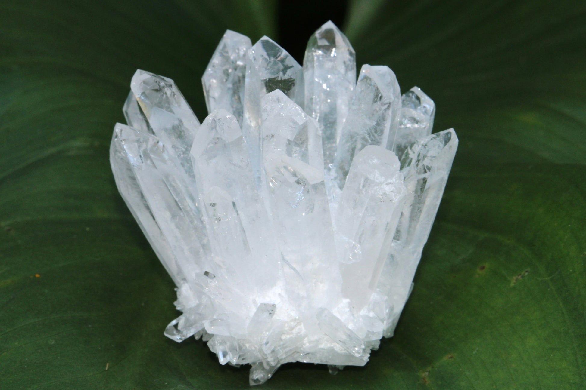 Amas de Cristal de Roche