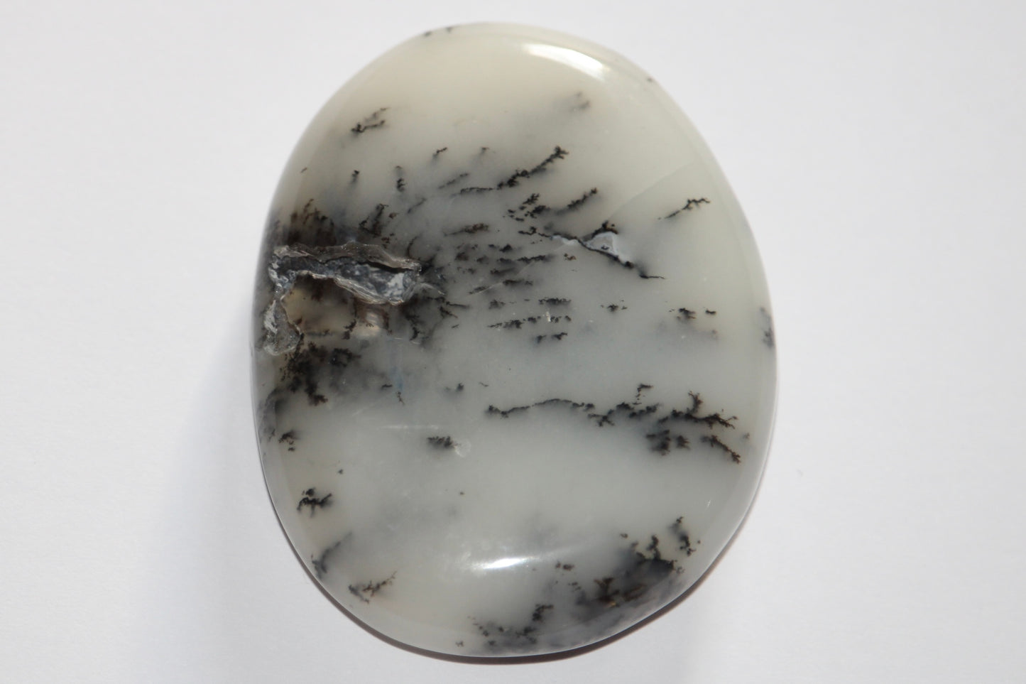 Galets Agate Dendritique