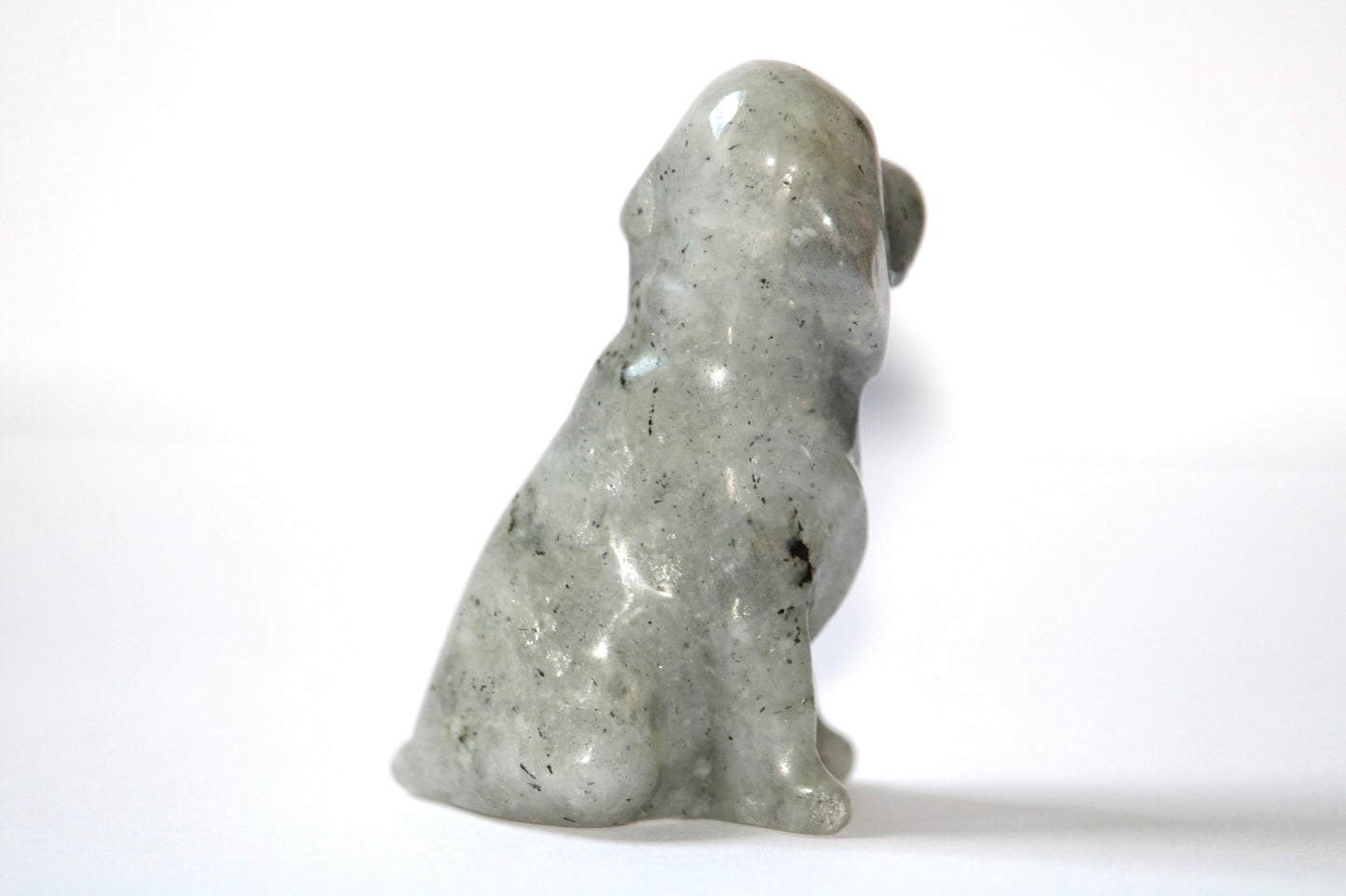 Chien en Labradorite