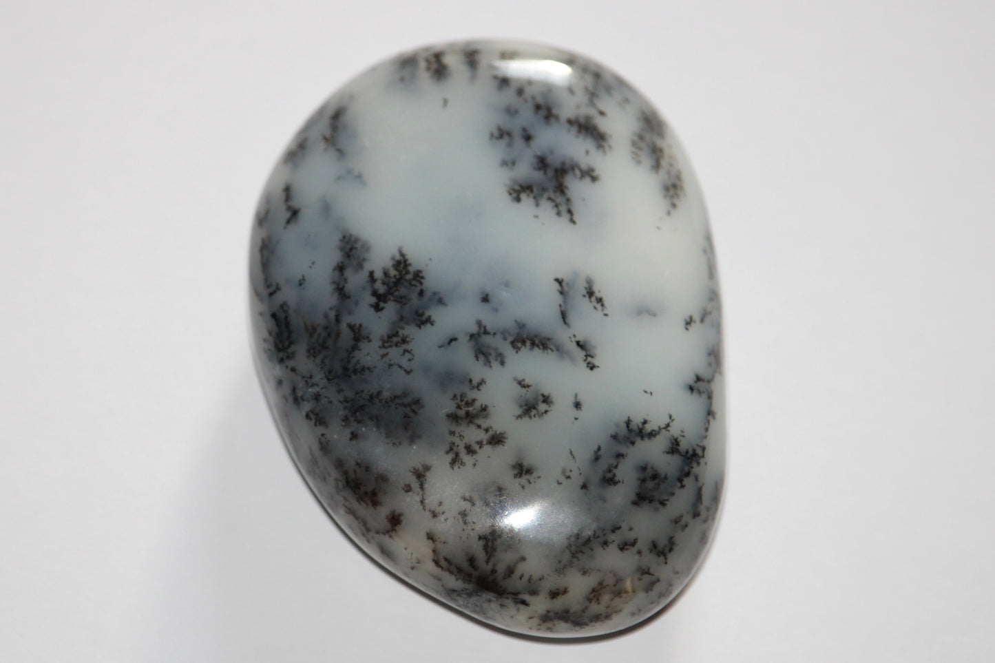 Galets Agate Dendritique