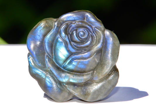 Rose en Labradorite