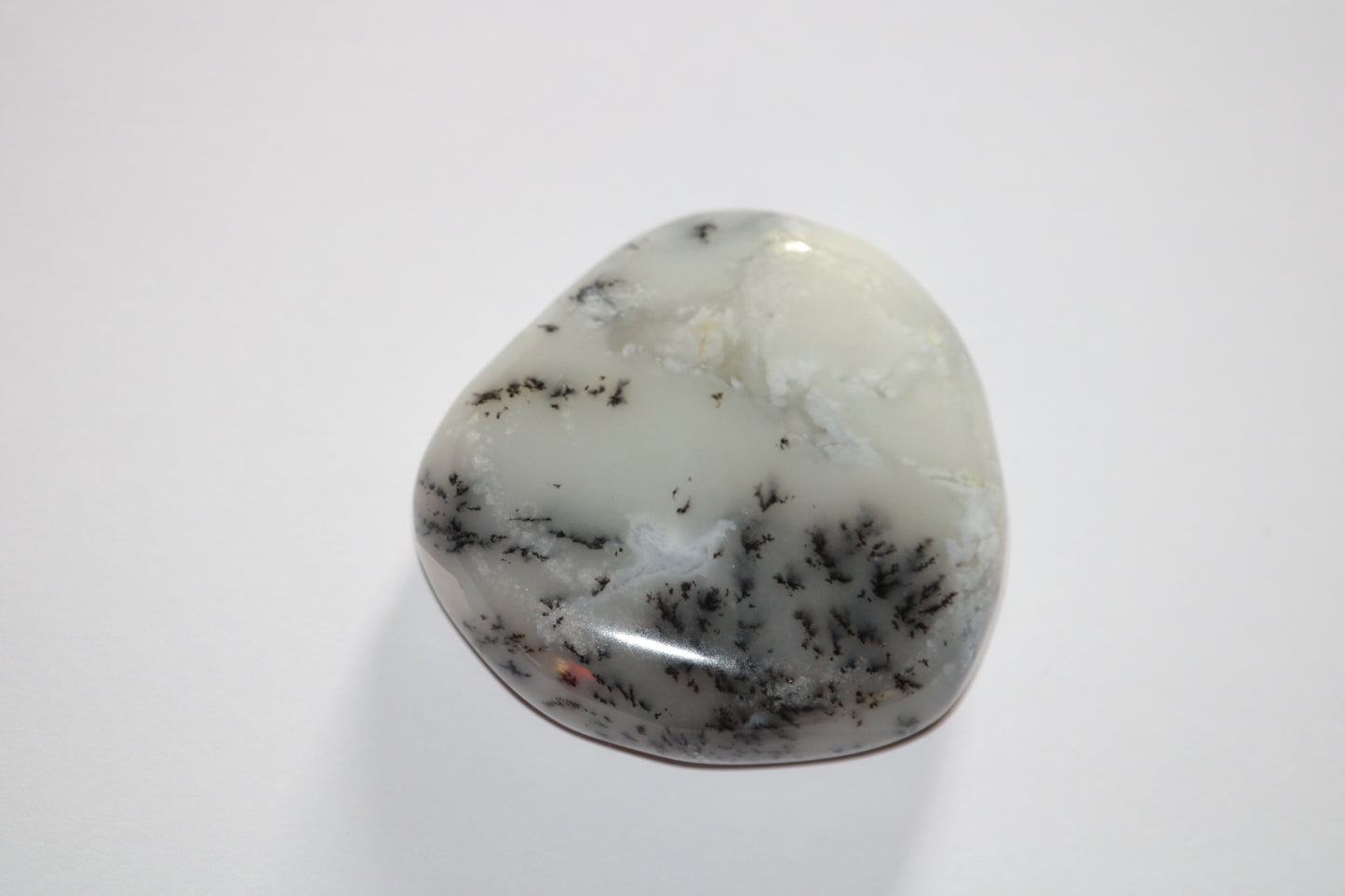 Galets Agate Dendritique