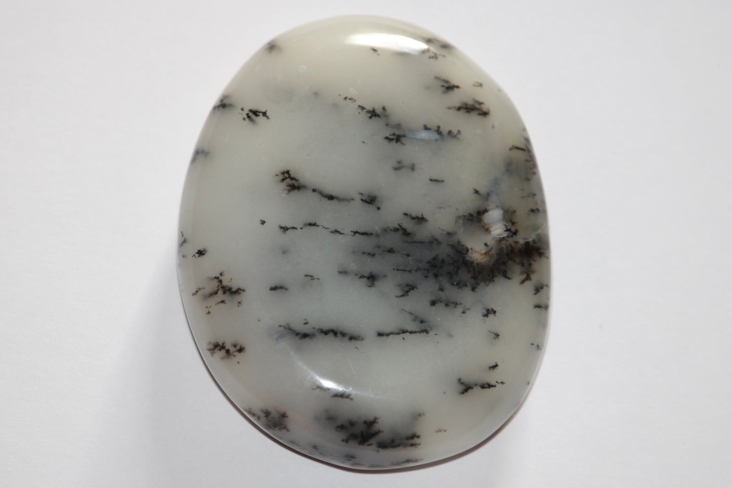 Galets Agate Dendritique