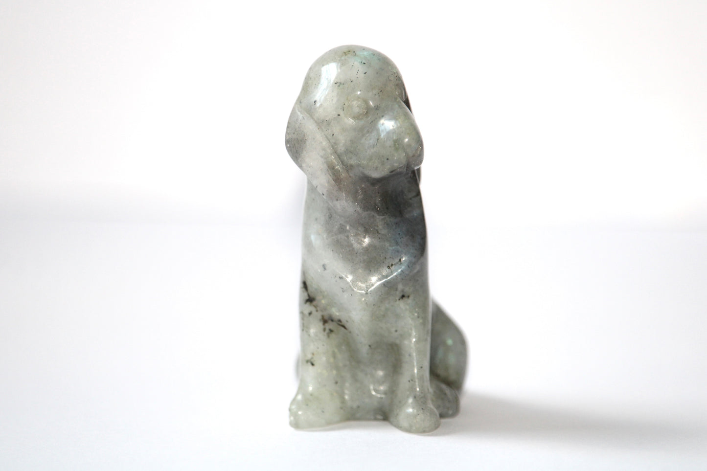 Chien en Labradorite