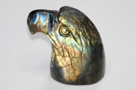 Tête d'Aigle en Labradorite